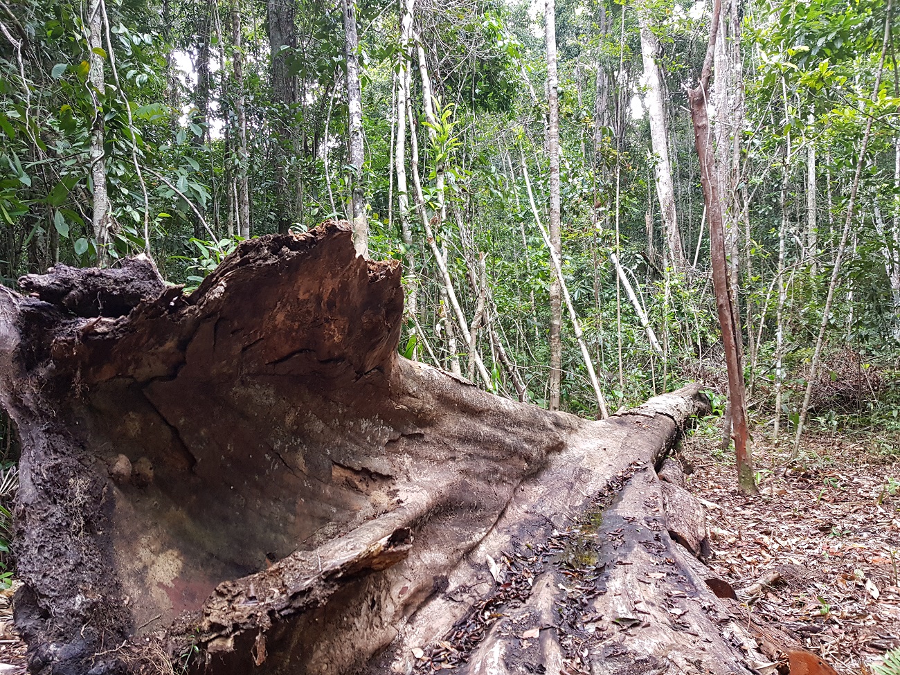 20201205_150112.jpg