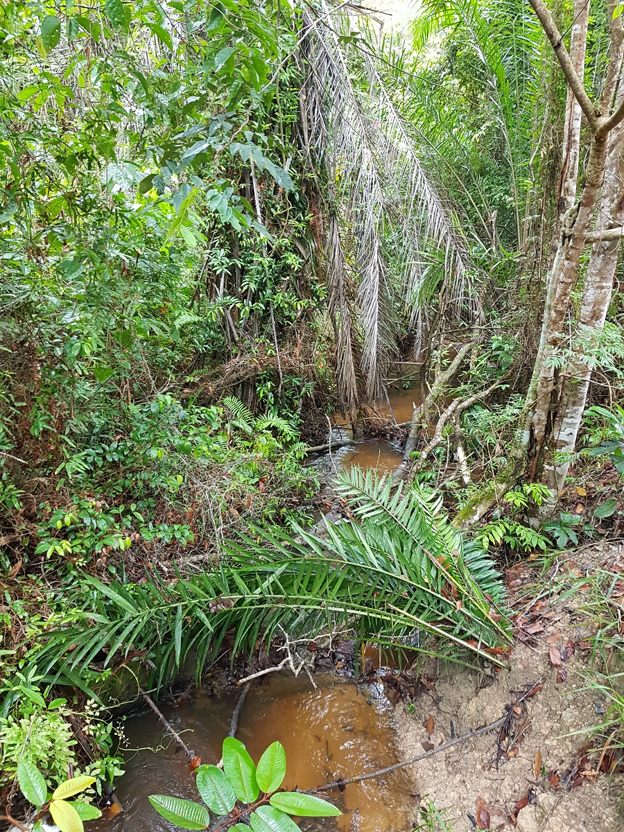 20201205_155046.jpg
