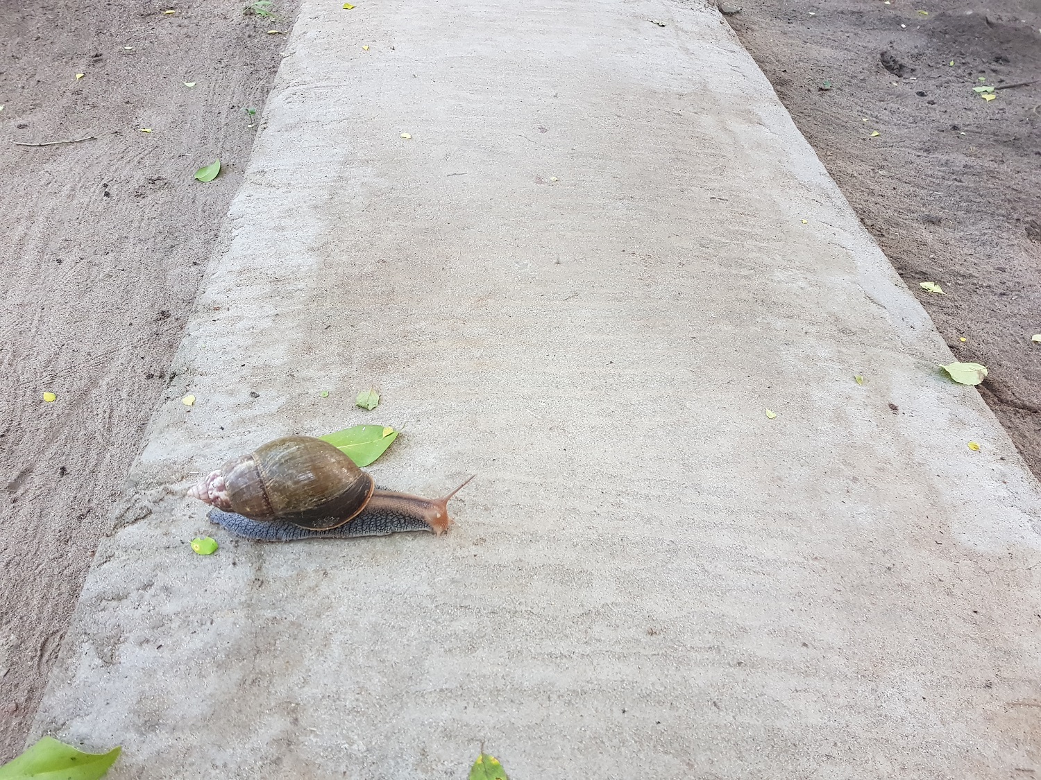 20201231_070044.jpg