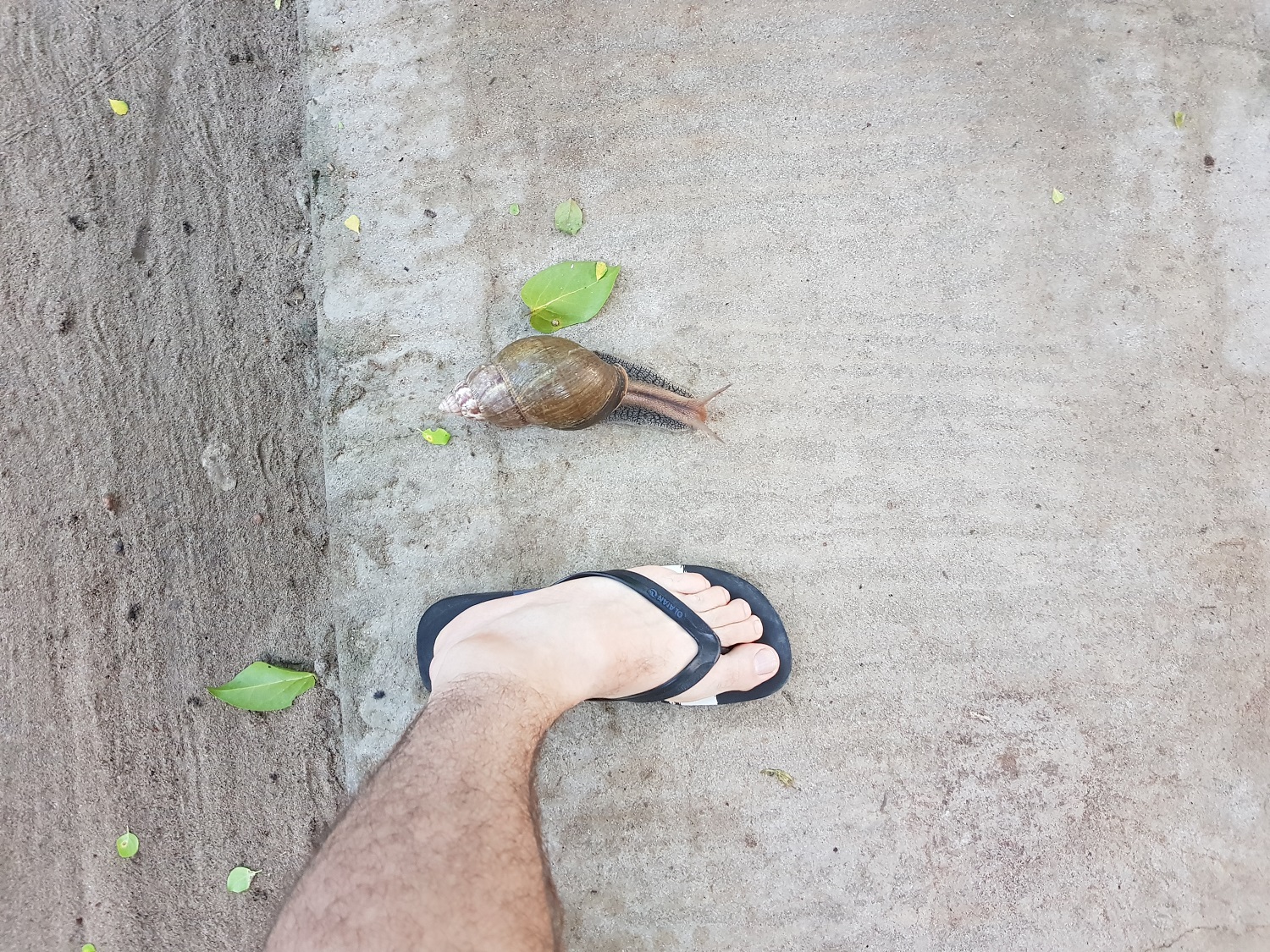 20201231_070053.jpg
