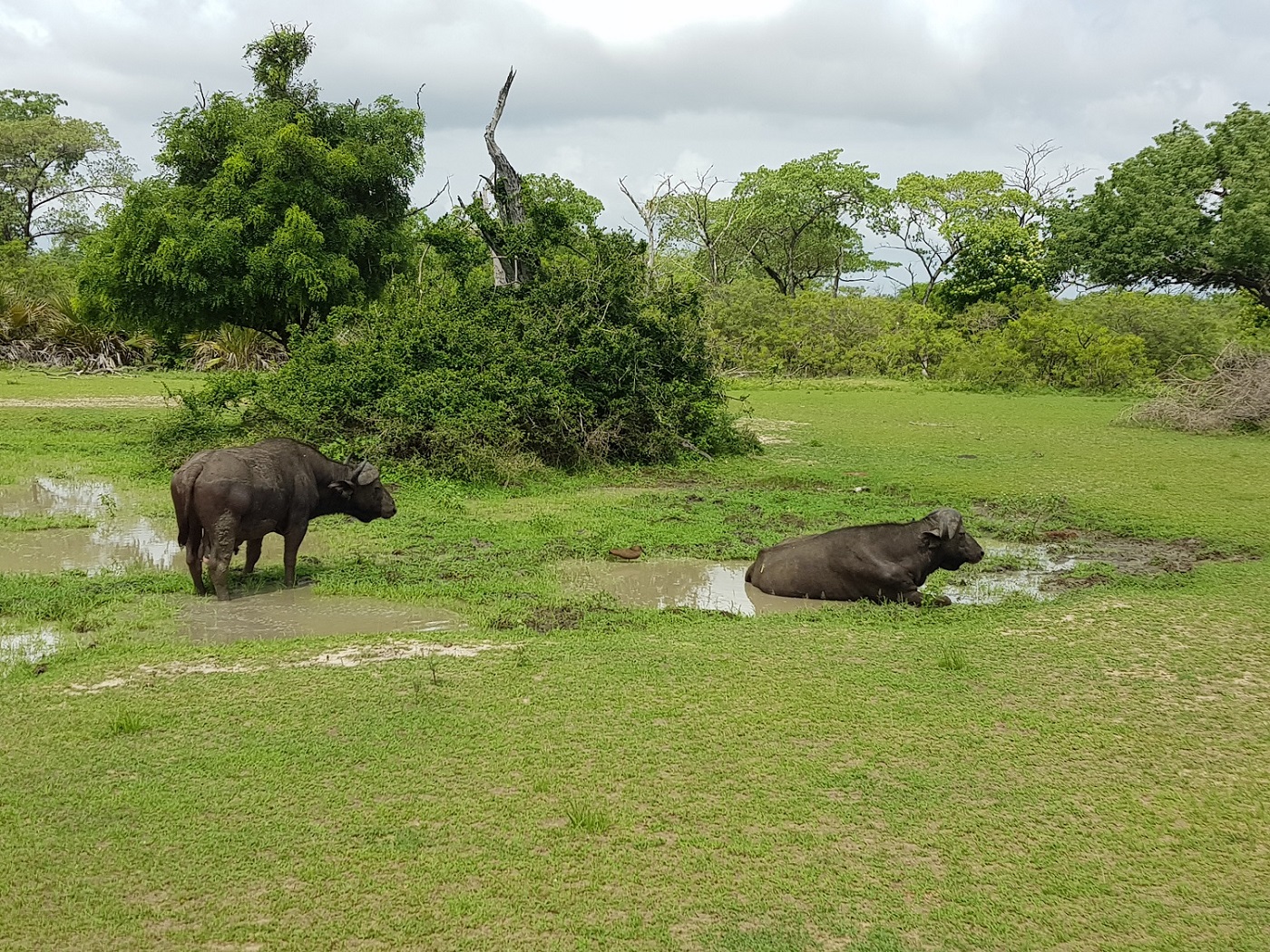 20201231_105725.jpg