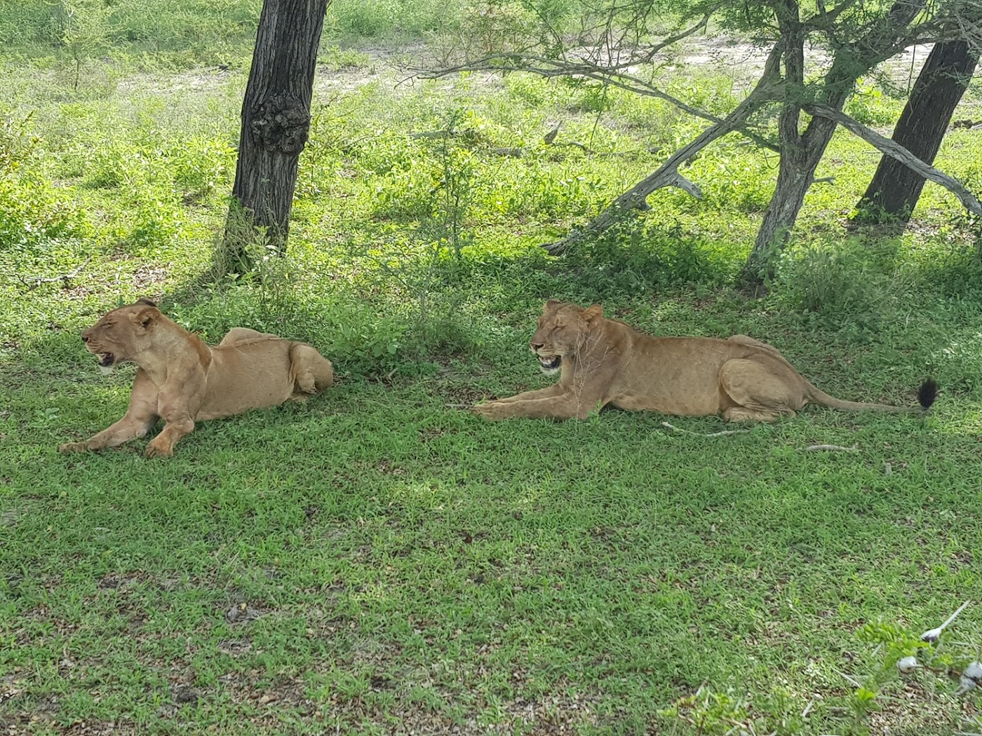 20201231_161324.jpg