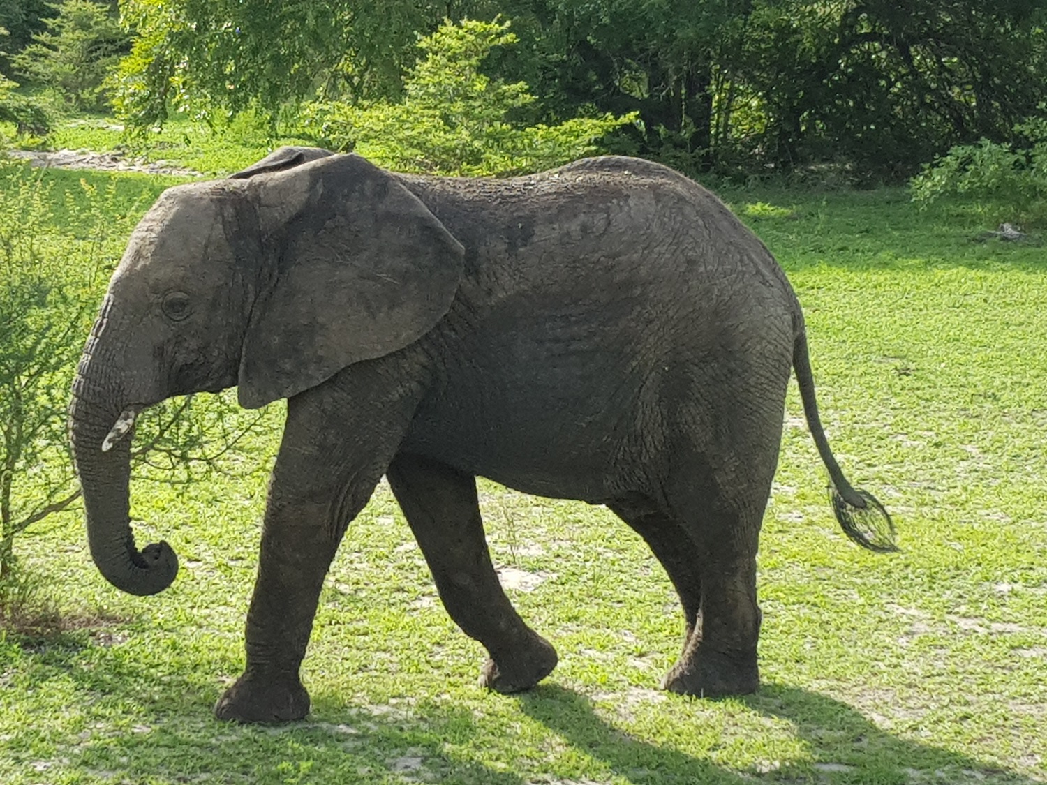 20201231_164013.jpg