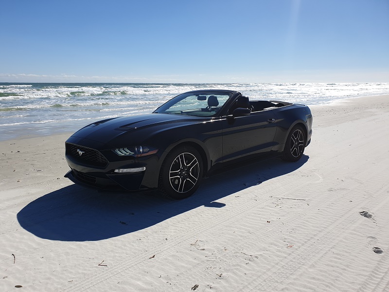 aF4F_2020_008_Daytona_Beach.jpg