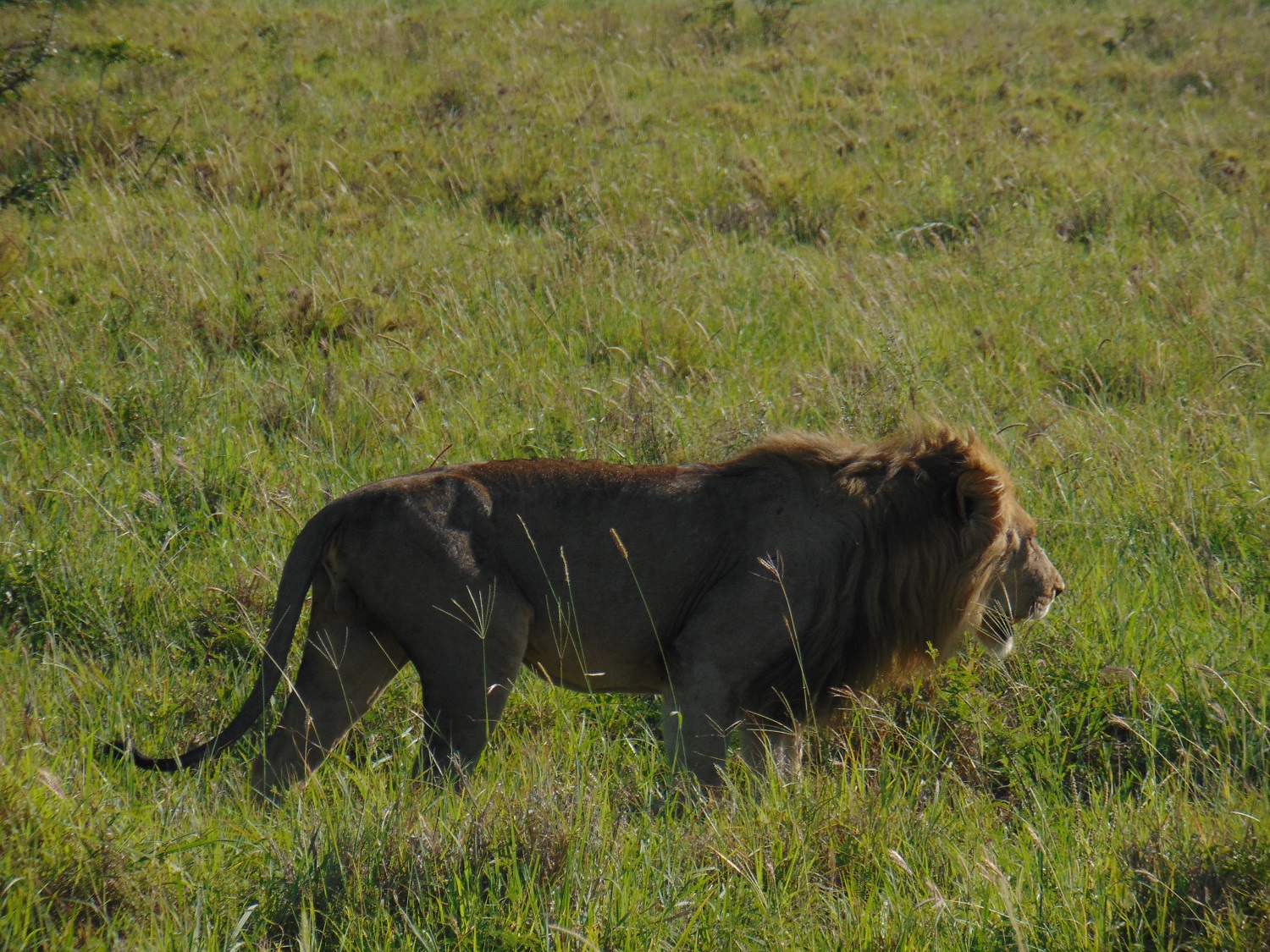 DSC00170.JPG