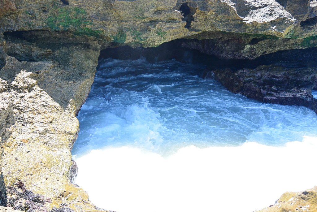 DSC_2218.JPG