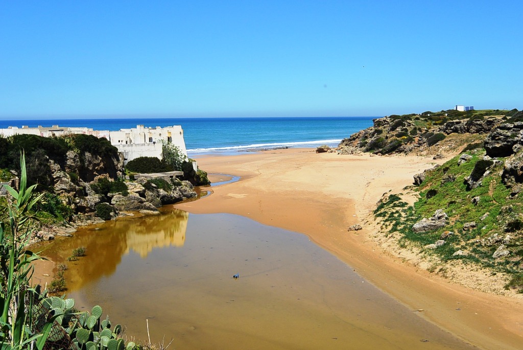 DSC_2232.JPG