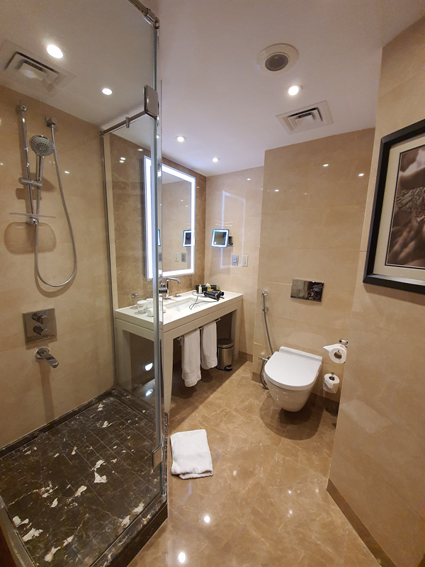 Ramses Hilton_2.jpg
