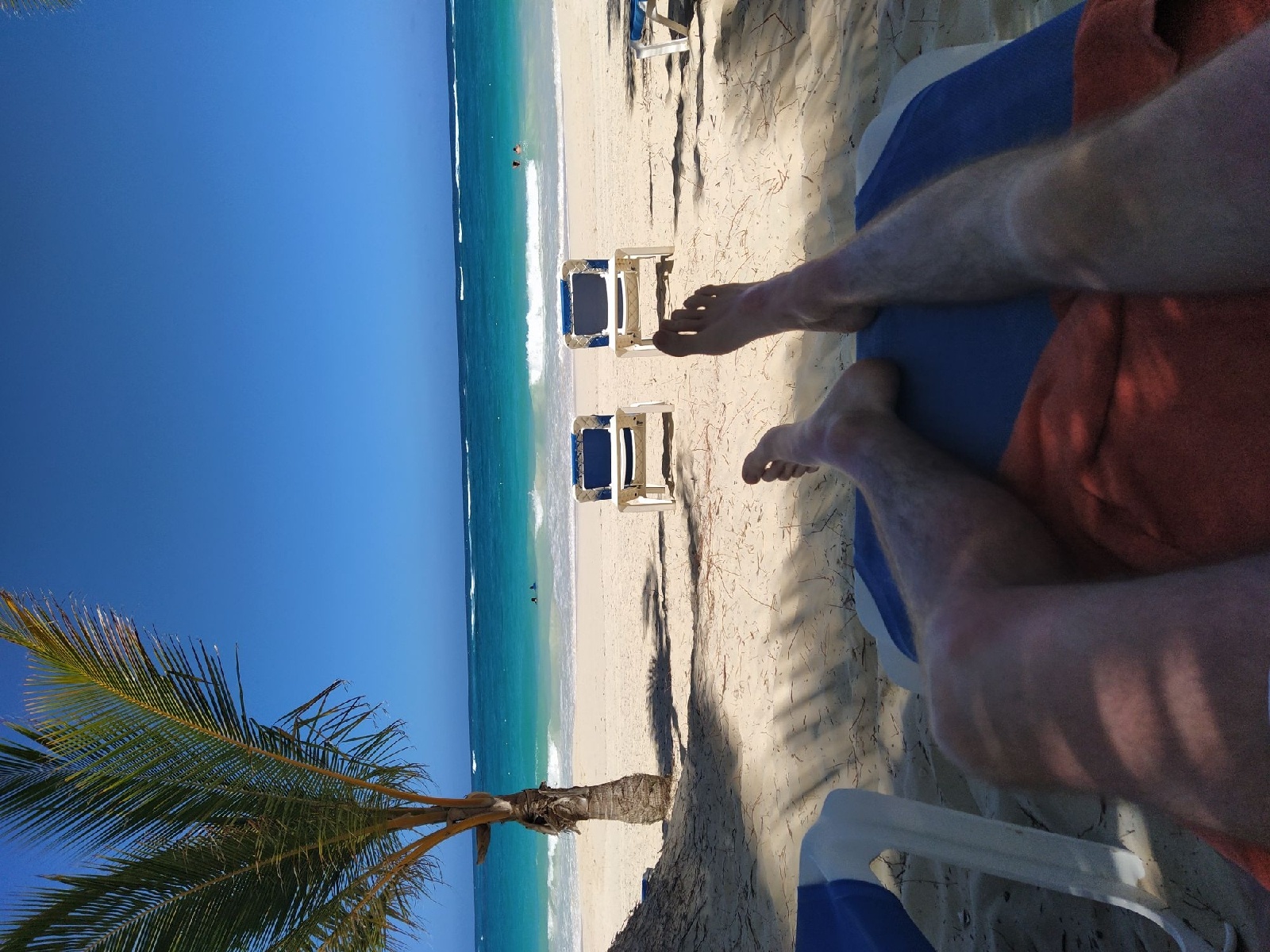 IMG_20210216_132348_compress38_resize_74_compress3.jpg