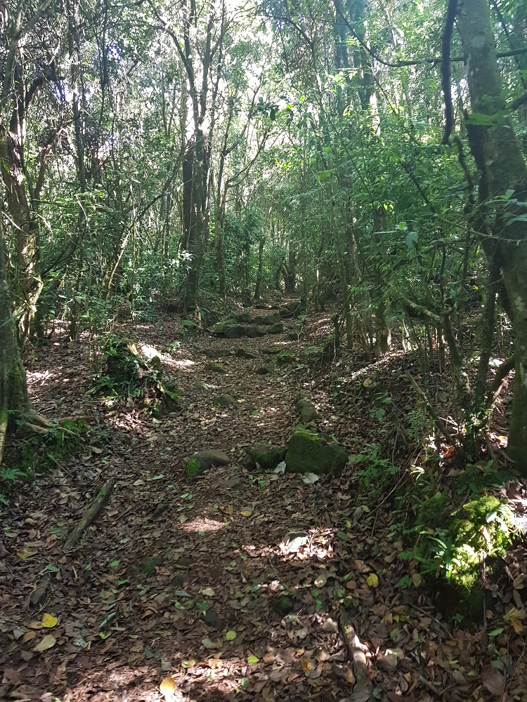20210108_091825.jpg