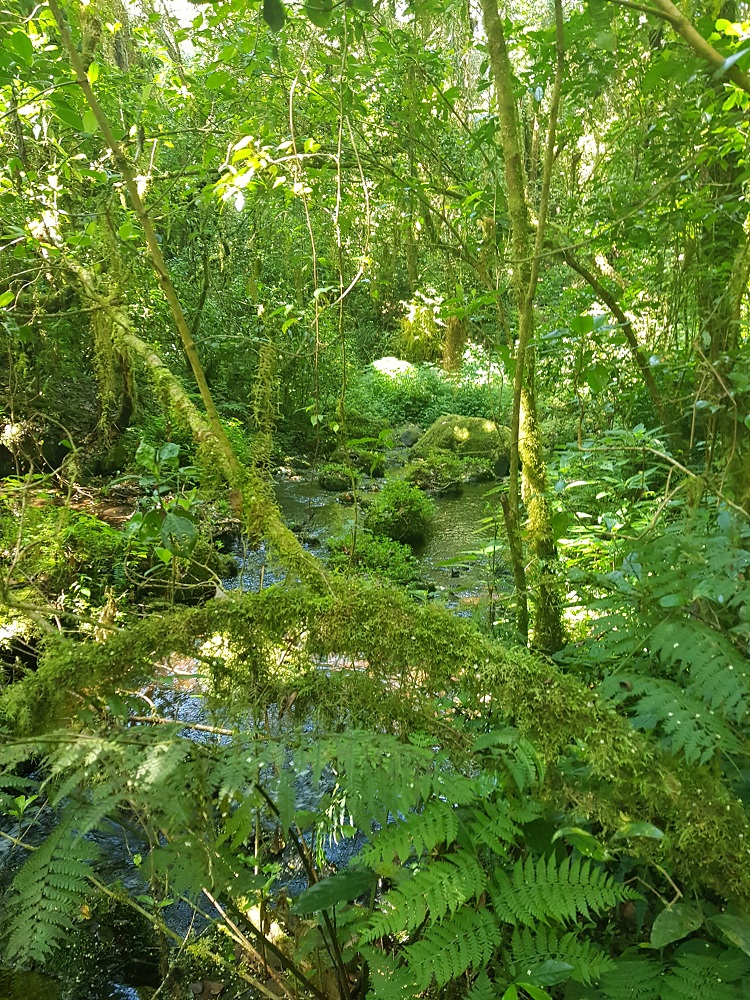 20210108_100643.jpg