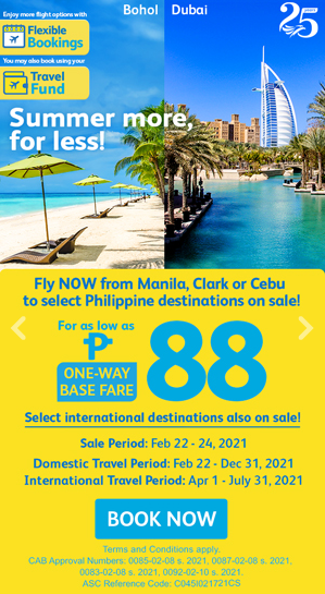 cebu22.24.png