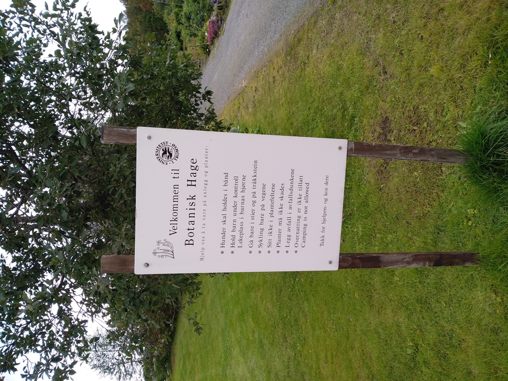 6_Ogród botaniczny.jpg