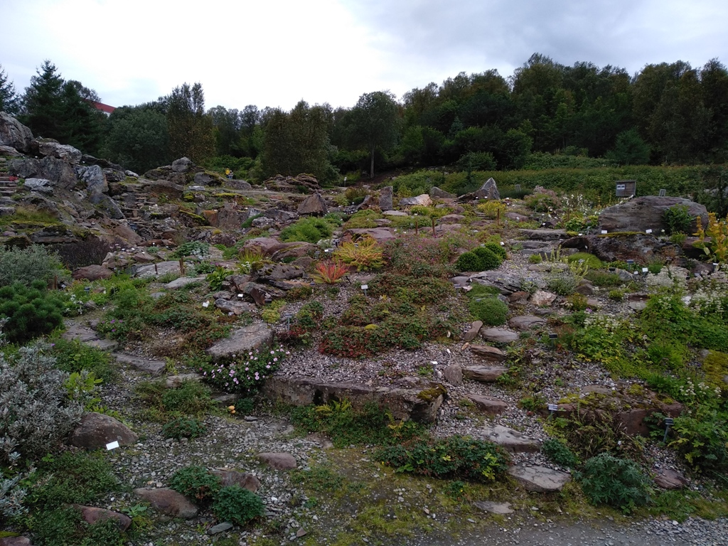 7_Ogród botaniczny.jpg