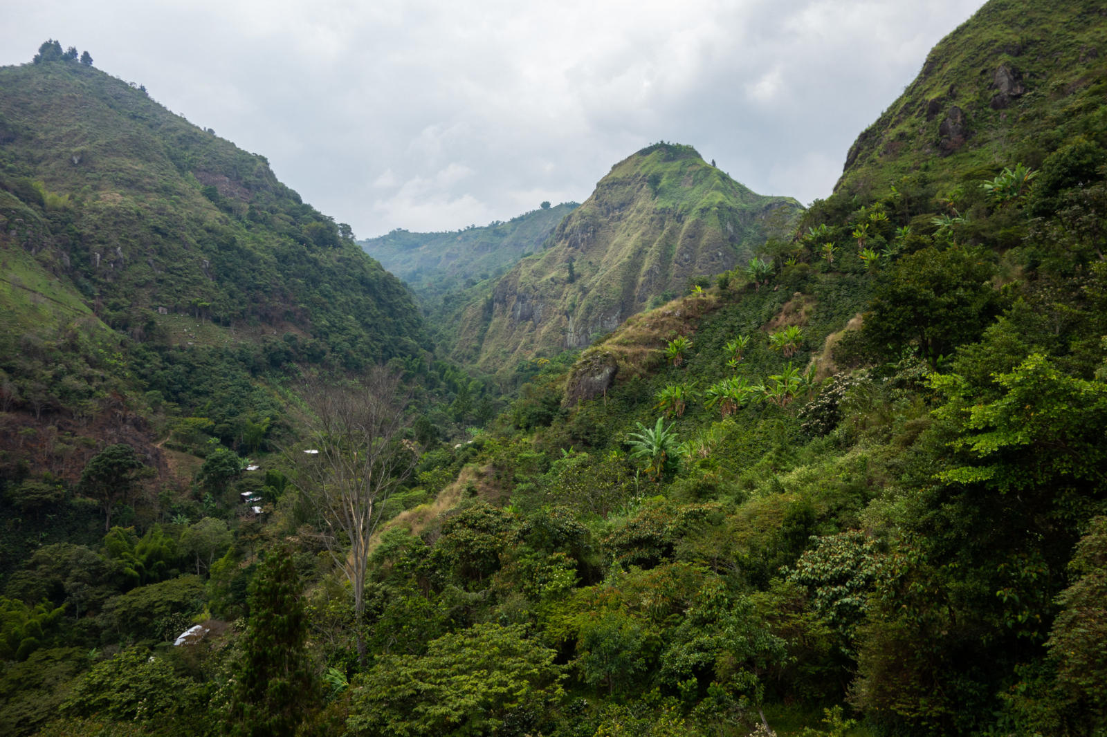 tierradentro03.jpg