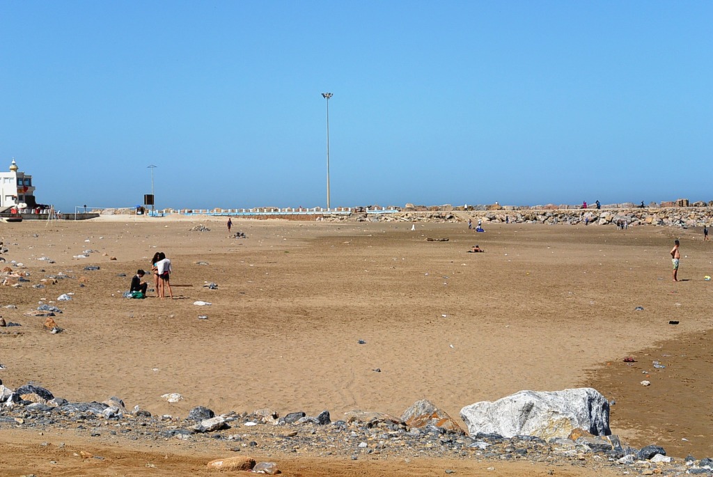DSC_2305.JPG