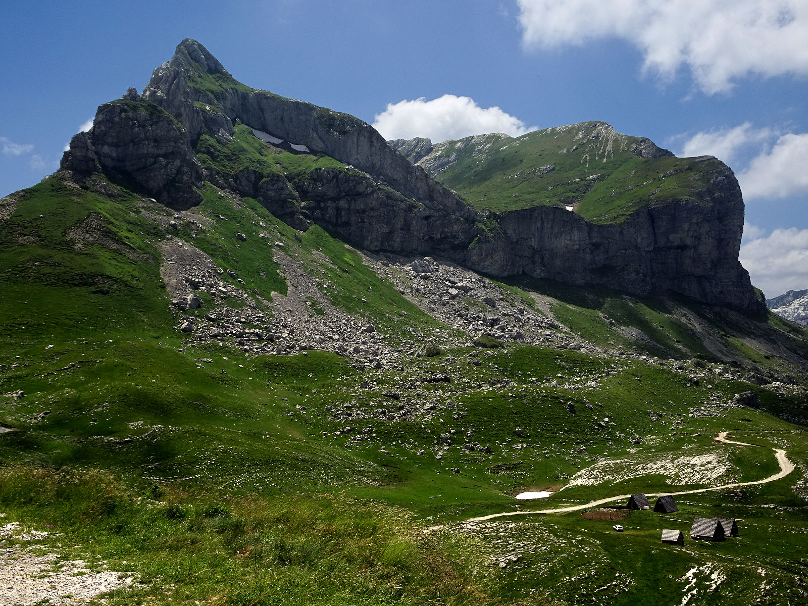 DSC02895.JPG