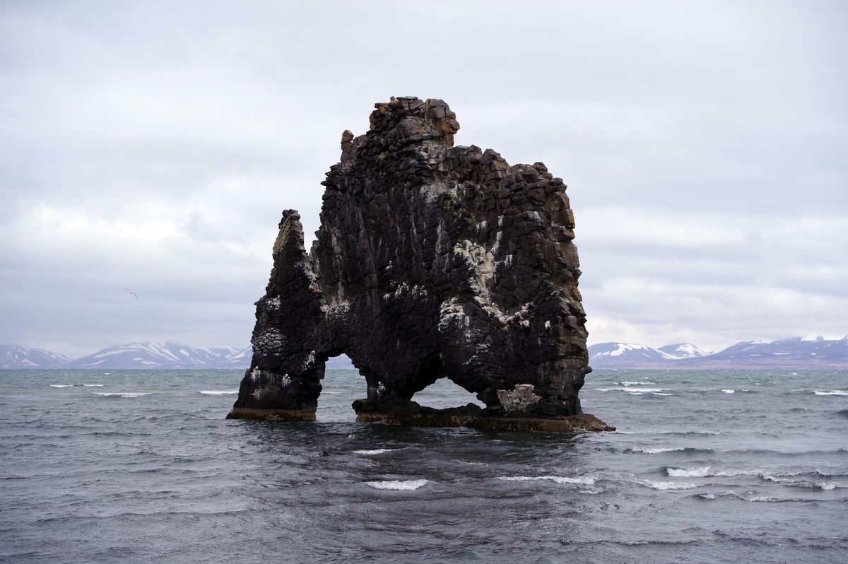 Hvitserkur.jpg