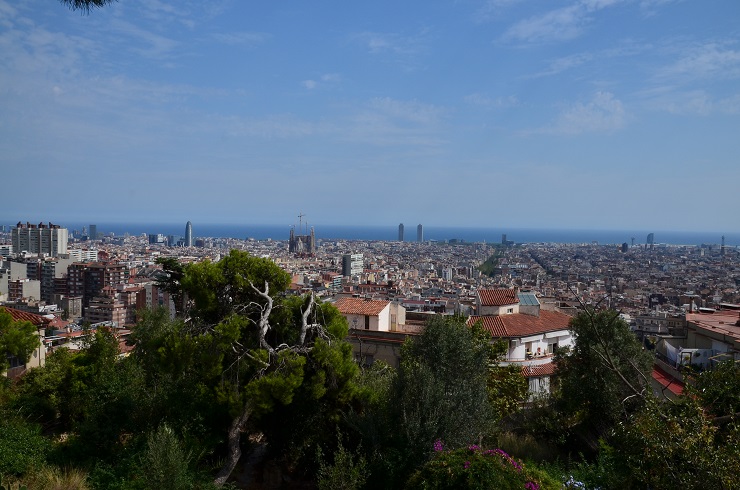 DSC_0299.JPG