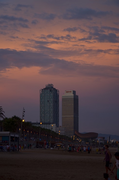 DSC_0481.JPG