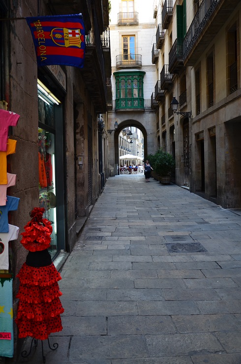 DSC_0929.JPG