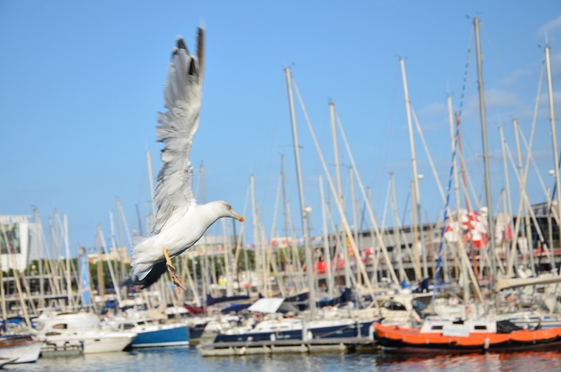 DSC_1007.JPG