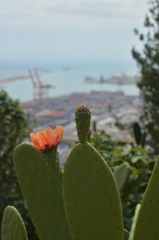 DSC_0158.JPG