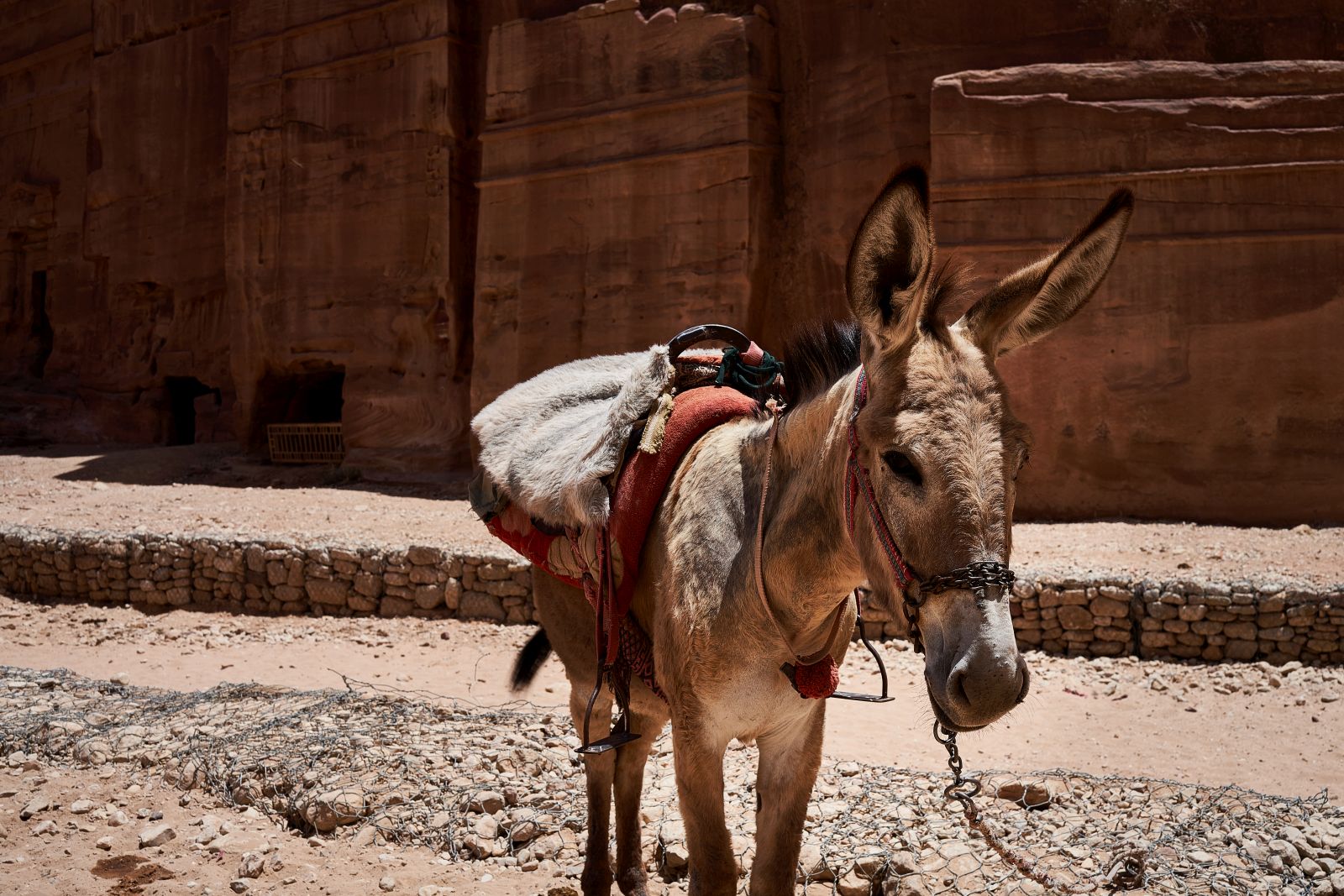 140602021_Jordania_107.jpg