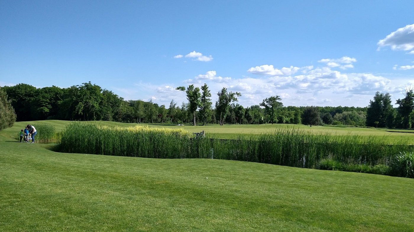 IMG_20210606_164233486_HDR.jpg