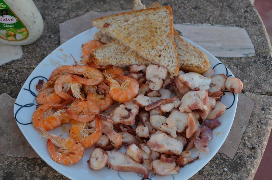 DSC_0507.JPG