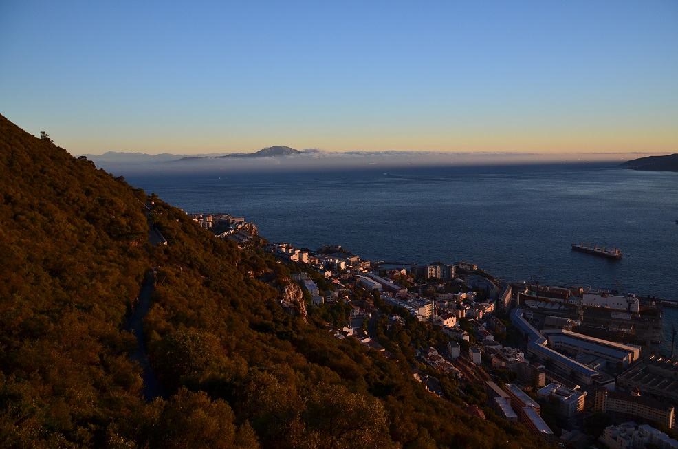 DSC_0781.JPG