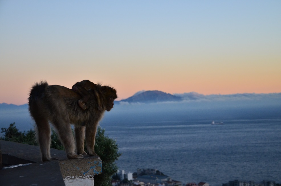 DSC_0805.JPG