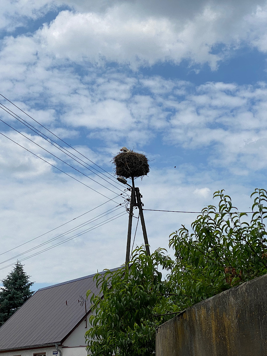 1B51E91D-0BAA-409F-B9E6-51F4D29554C7.jpeg