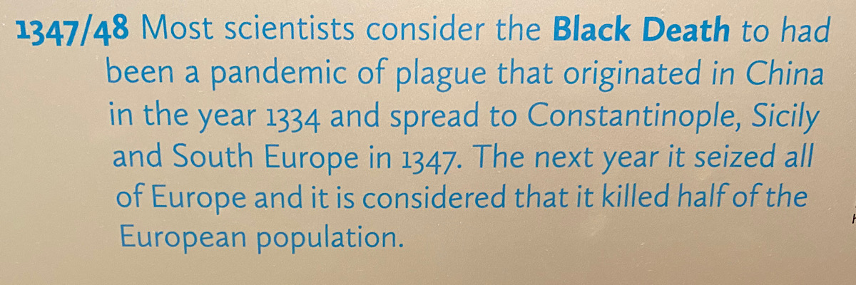 3C16E713-2829-45B4-A1AA-EA8551E741B6.jpeg