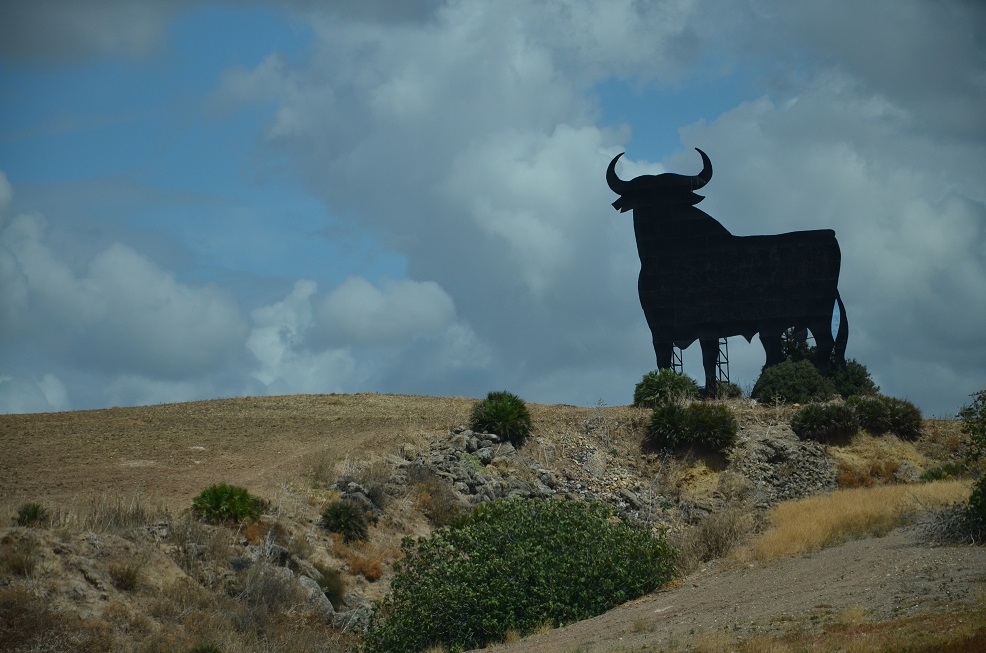 DSC_1092.JPG