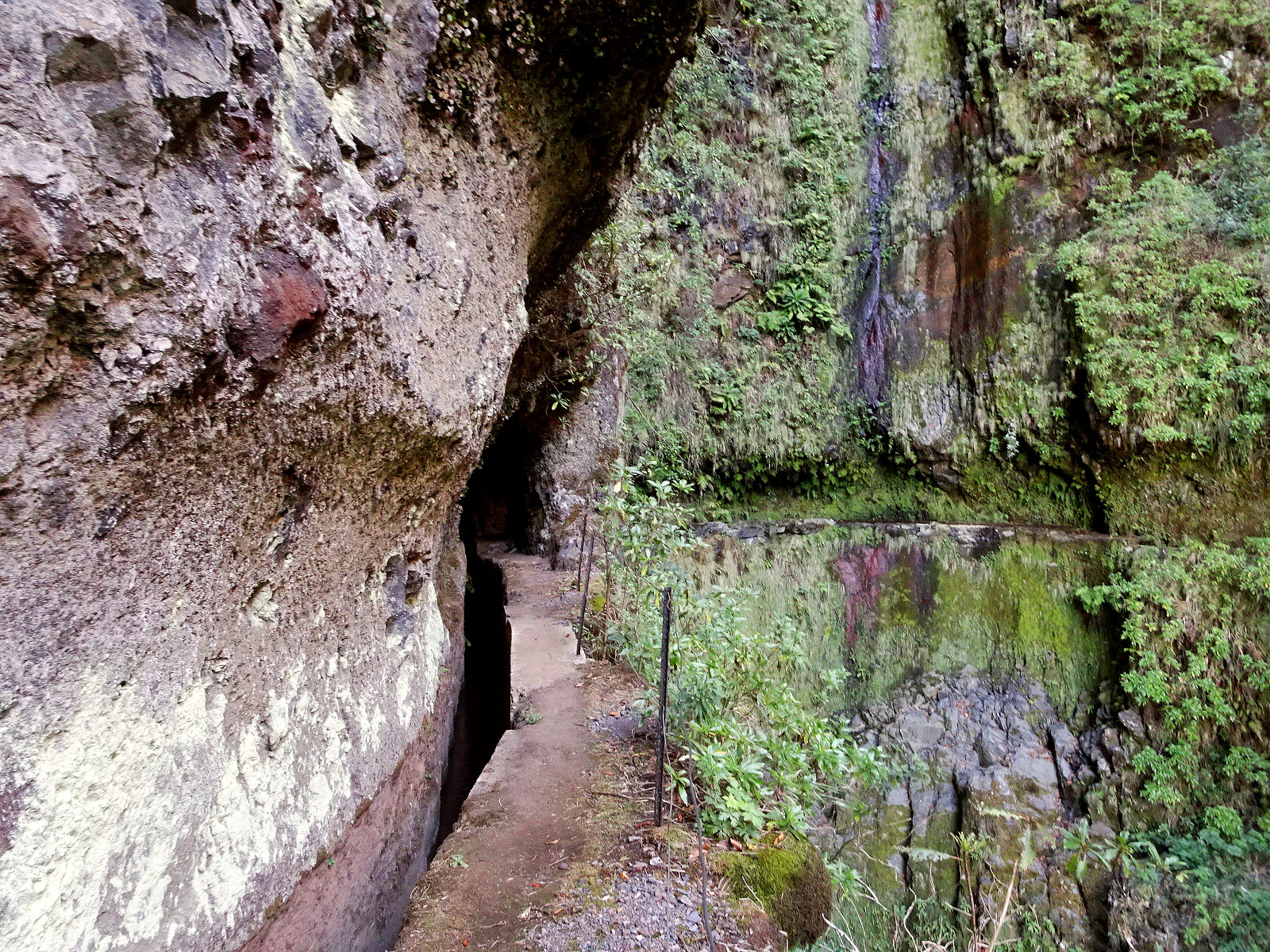DSC02101.JPG