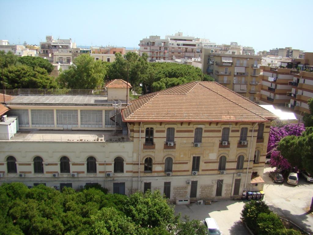 DSC01613.JPG