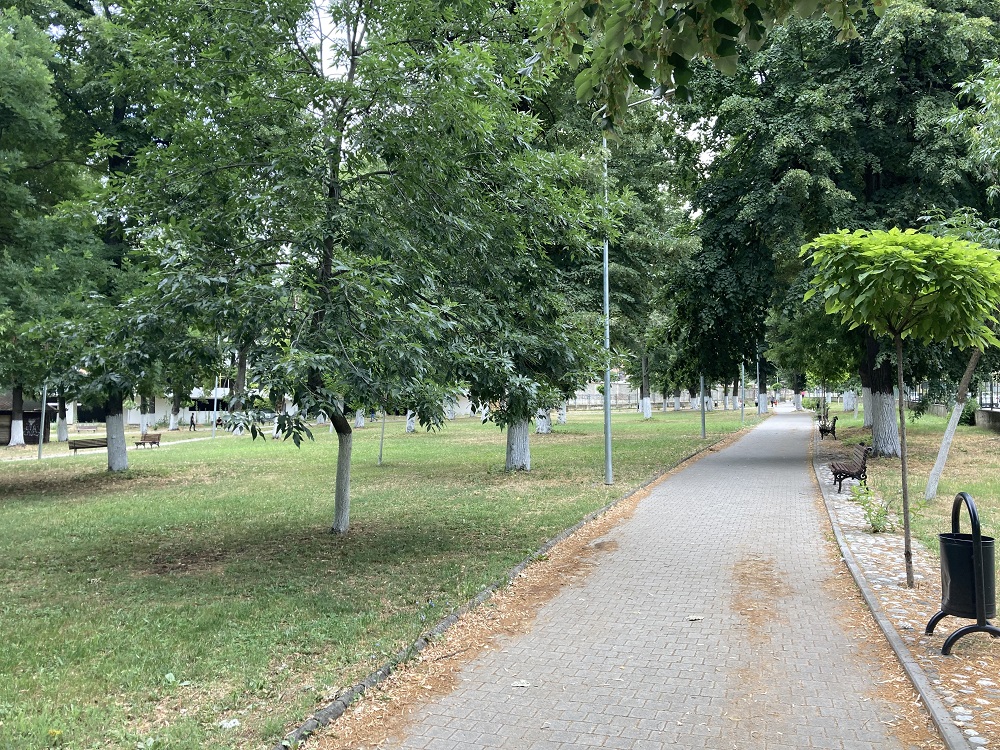 IMG-9394.jpg