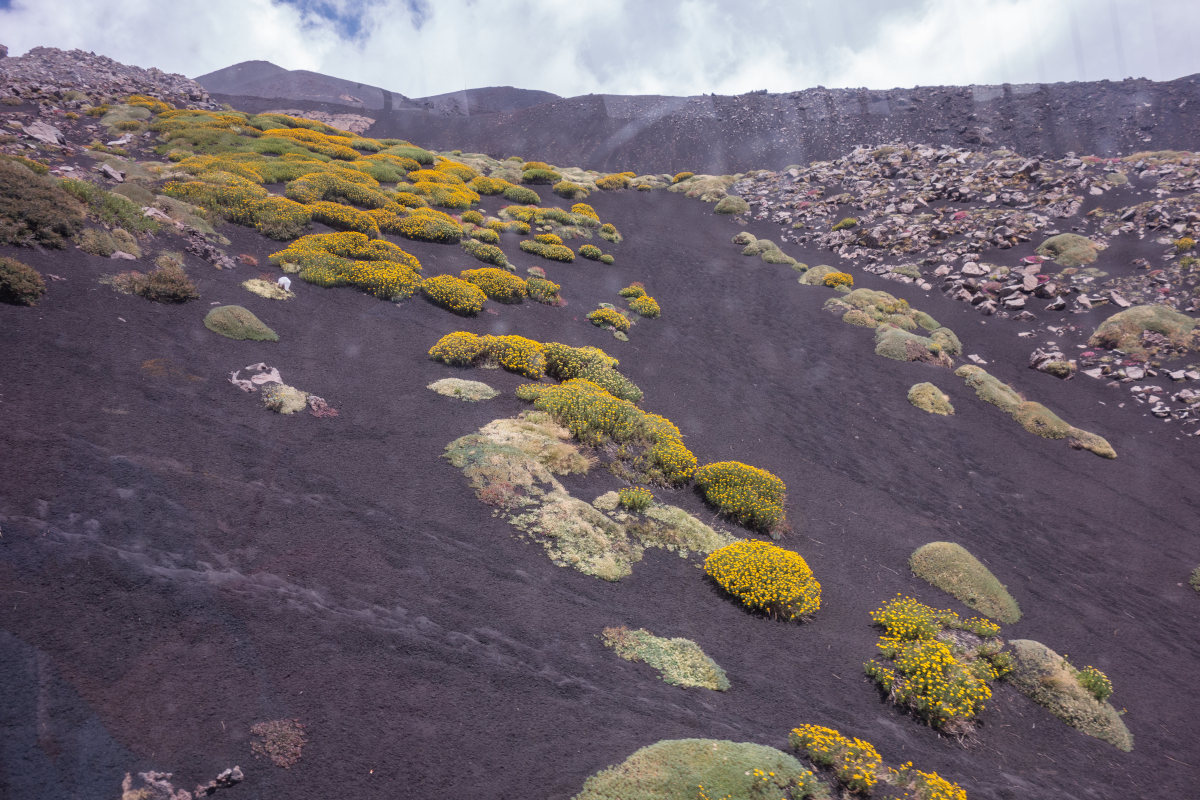 etna09.jpg