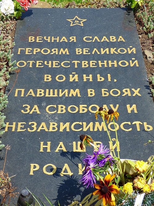 85.jpg