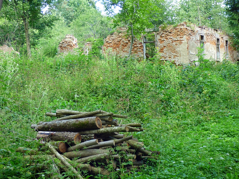 18.jpg