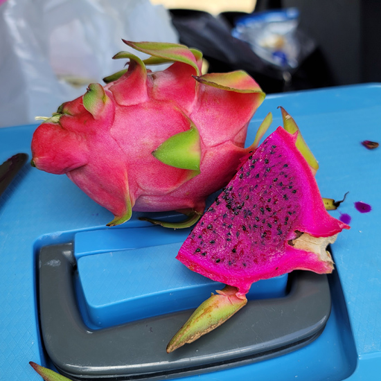 dragonfruit2x550.jpg