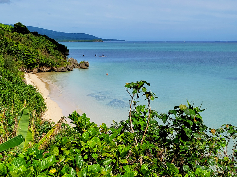 coral-beach4x800.jpg