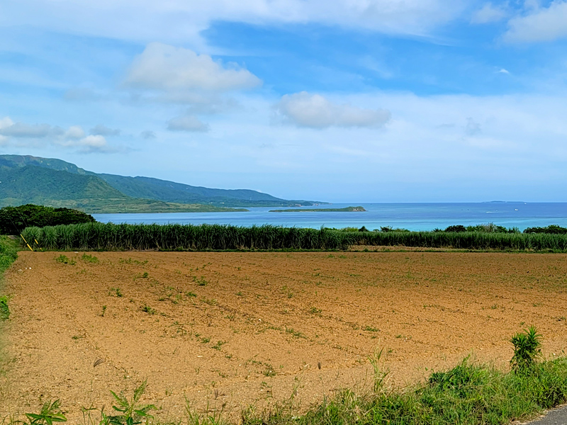 kohama-view1x800.jpg