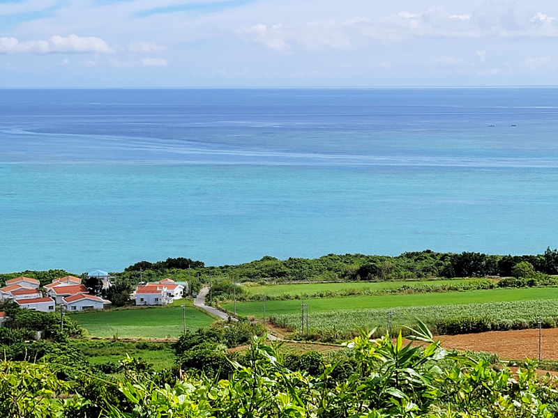 kohama-view4x800.jpg