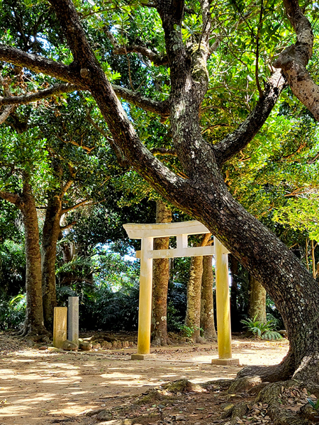 kohama-village-shrinex450.jpg