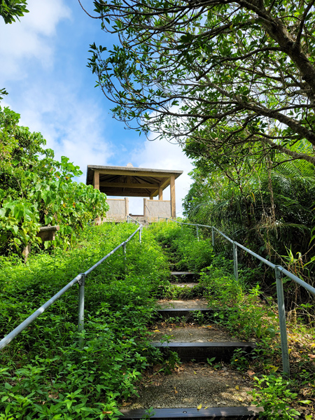 steps-to-ufudaki2x450.jpg