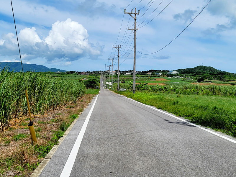 sugar-road2x800.jpg
