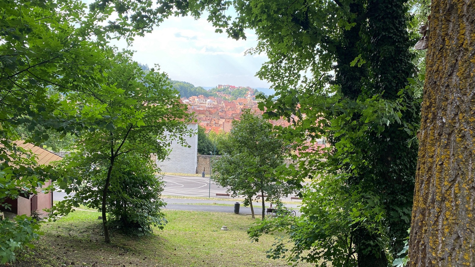 60.jpg