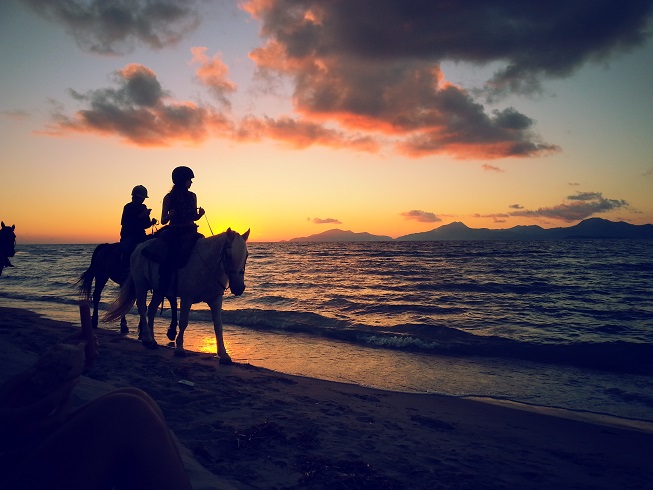 20140908_192638.jpg